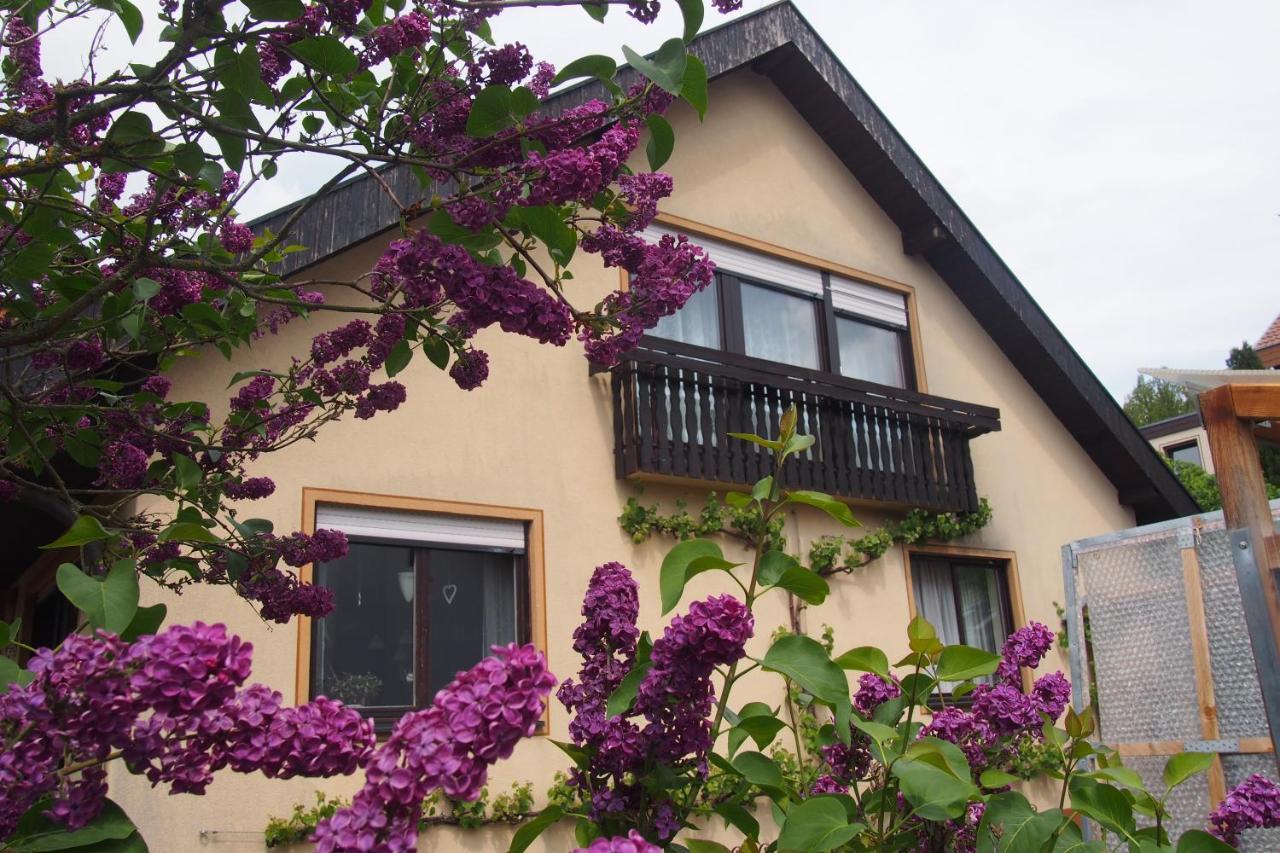 Haus Sonneneck Appartement Bad Bocklet Buitenkant foto
